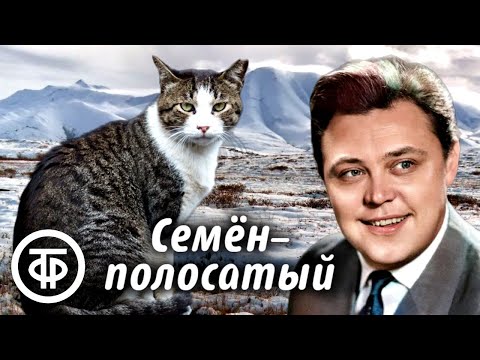 Видео: Вячеслав Невинный читает рассказ "Семён-полосатый" писателя Юрия Яковлева (1974)