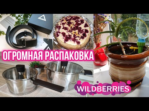 Видео: УДАЧНЫЕ ПОКУПКИ С WILDBERRIES📦БОЛЬШАЯ РАСПАКОВКА и ОБЗОР ПОСУДЫ, ТОВАРОВ ДЛЯ КУХНИ и ДОМА