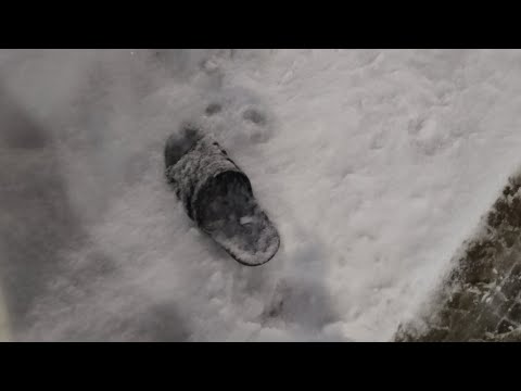 Видео: вопрос-ответ (ожила?)