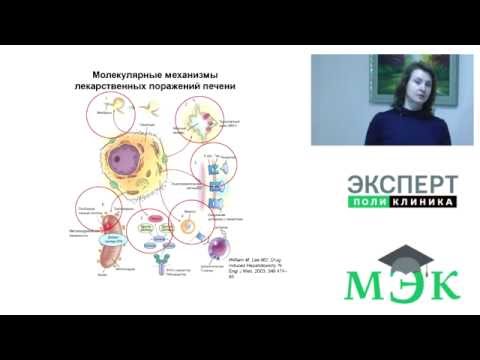 Видео: Лекарственные поражения печени (лекция для врачей)