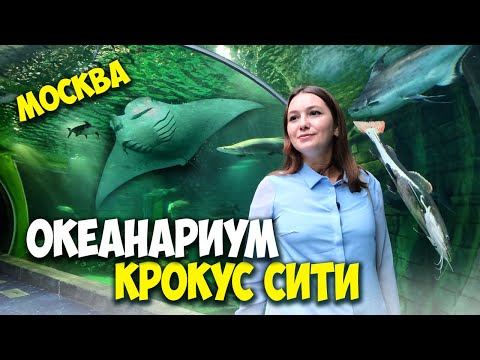 Видео: Океанариум Крокус Сити - билеты, цены и многое другое / Океанариум Крокус после пандемии