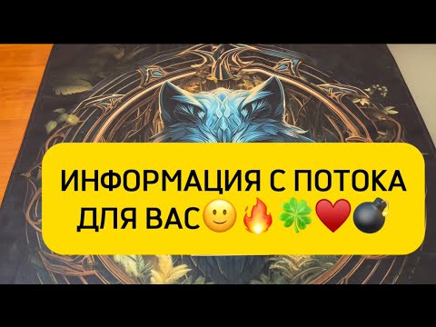 Видео: ИНФОРМАЦИЯ С ПОТОКА ДЛЯ ВАС🙂🔥🍀♥️💣🙏