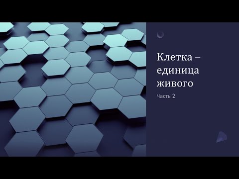 Видео: Клетка - единица живого. Часть 2