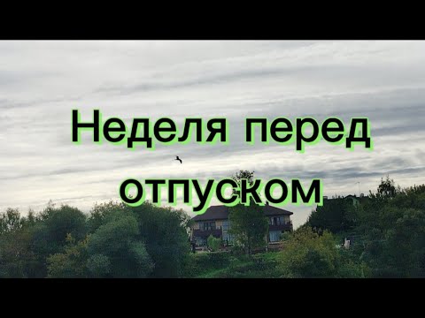 Видео: Неделя перед отпуском)