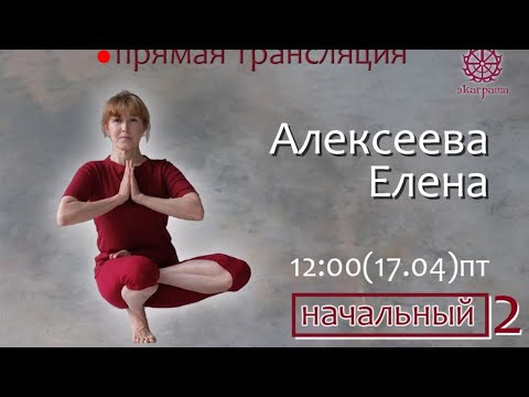Видео: Онлайн занятия с Алексеевой Еленой