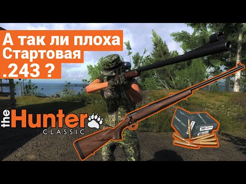 Видео: 243 - Норм ? Всё о стартовой винтовке в theHunter Classic