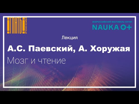 Видео: Мозг и чтение