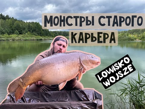 Видео: ОТКРЫВАЮ НОВЫЙ ВОДОЕМ! МОЩНЕЙШИЕ КАРПЫ СО СТАРОГО КАРЬЕРА. Lowisko WOJSZE