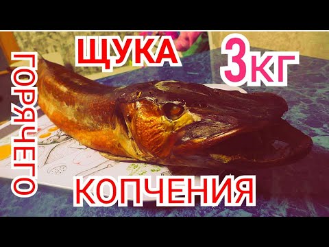 Видео: Щука 3 кг Горячего Копчения - Простой Рецепт!!!