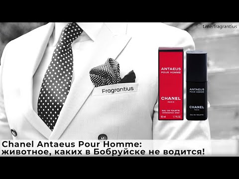 Видео: Chanel Antaeus Pour Homme: животное, каких в Бобруйске не водится!