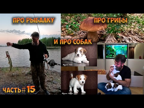 Видео: #15 Идём в  Лопское | Ковдозеро 2023
