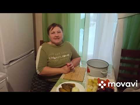 Видео: Собираю котомку//помыла морозилку//11 февраля 2023 г.