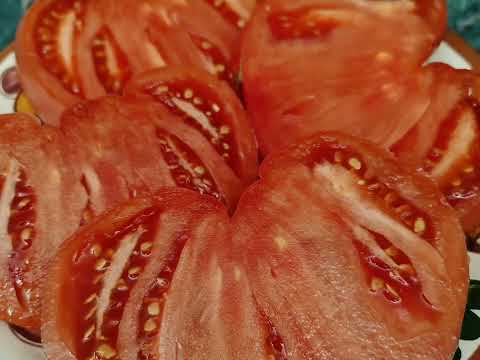 Видео: Любимое хобби😍🍅