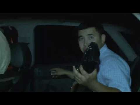 Видео: Дабыл, Дабыл! - 14 хабар