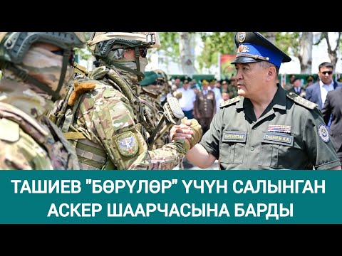 Видео: Камчыбек Ташиев "Бөрү" атайын отряды үчүн салынган аскер шаарчасына барып, шарты менен таанышты.