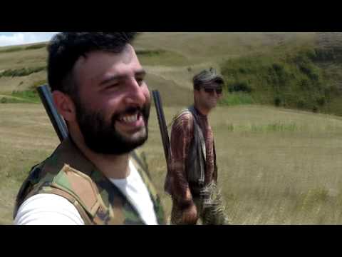 Видео: охота на перепела в Армении / Լորի որս / Lori vors / hunting in armenia / Հայ որսորդ / hay vorsord