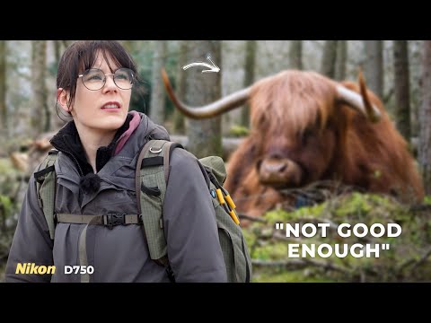 Видео: Фотограф, сомневающийся в себе: лесная съемка на Nikon D750