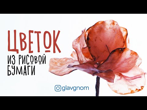 Видео: Как сделать воздушный цветок из рисовой бумаги