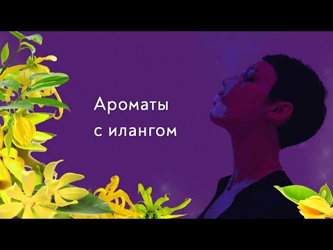 Видео: Ароматы с илангом. Новинка от Juliette Has A Gun