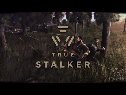 Видео: S.T.A.L.K.E.R. True Stalker #21 Все концовки + секретная за Топора