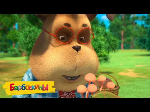 Видео: Барбоскины 🍄🍄 По грибы 🍄🍄 Сборник мультиков для детей