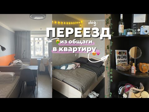 Видео: переезд из лакшери общаги в однушку 📦|| никогда не живите в общежитии вшэ