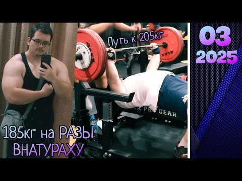 Видео: Моя актуальная форма | Колтон VS Хаак | Натураха | Больное плечо | Путь к жиму 205кг без химии 