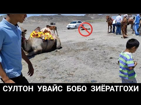 Видео: СУЛТОН УВАЙС БОБО ЗИЁРАТГОХИ НИМАЛАР БУЛГАН