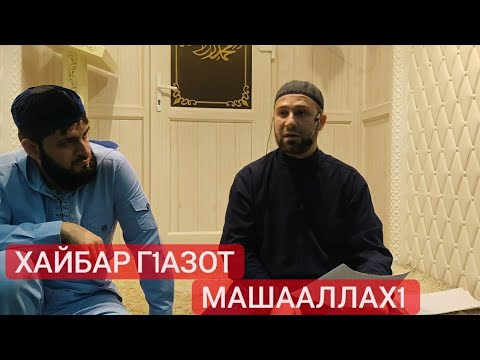 Видео: Хьехам (Хайбар г1азот)