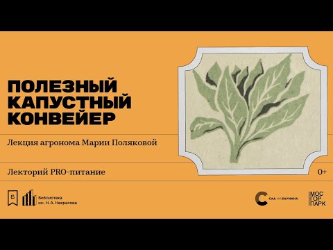 Видео: «Полезный капустный конвейер». Лекция агронома Марии Поляковой