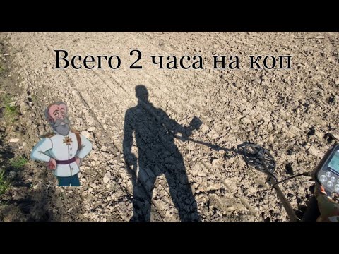 Видео: Всего 2 часа, чтобы добить ЦАРСКИЙ ДОМИК и вот итог.