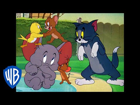 Видео: Том и Джерри | Джерри и его союзники | WB Kids
