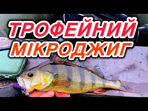 Видео: ДЕ ШУКАТИ ОКУНЯ ВОСЕНИ 🍂 рибалка з човна на окуня 2025 