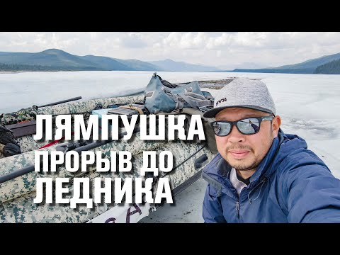 Видео: Лямпушка. Добрались до ледника. Отличный клев ленка и тайменя.