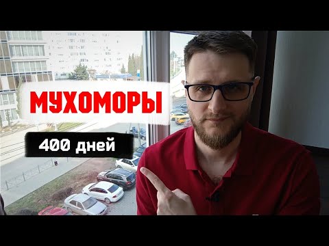 Видео: 400 дней ел мухоморы и вот, что осознал...