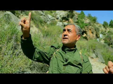 Видео: МЎМИЁ ОЛИШ СИРЛАРИ