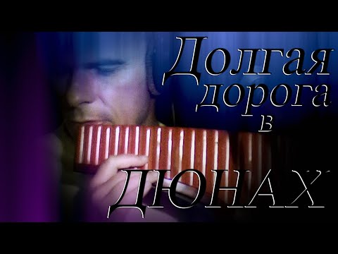 Видео: Одинокая Флейта. Долгая дорога в дюнах (Р. Паулс). Ilgais ceļš kapās. Long Way in Dunes.