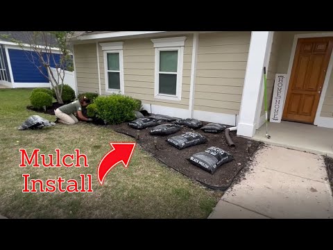 Видео: Как выполнить мульчирование [Установка мульчи в жилых помещениях в 2023 году]