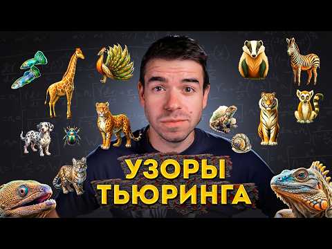 Видео: Узоры Тьюринга. Математика природы // Vital Math