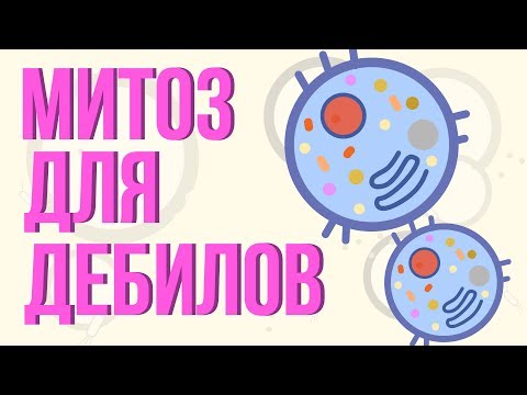 Видео: Митоз для дебилов