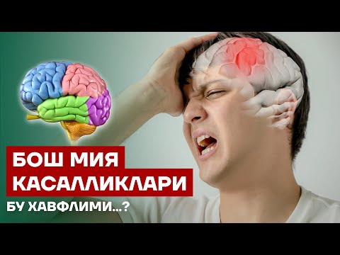 Видео: Бош мия касалликлари. Бу Хавфлими?