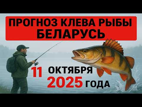 Видео: ПРОГНОЗ КЛЁВА в Беларуси на 11 октября 2025 года: Бросай все и на рыбалку!
