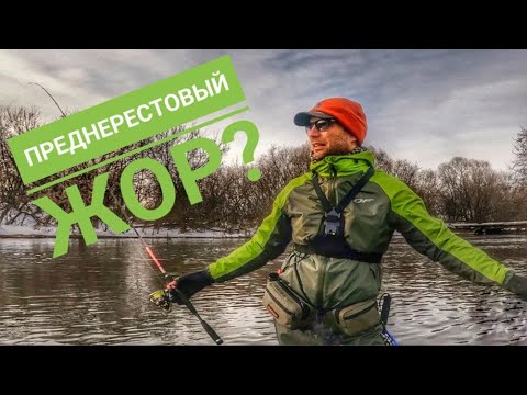 Видео: Ловля ЩУКИ на ТОНУЩИЕ ВОБЛЕРЫ. Весенний спиннинг в Московской области. Преднерестовый жор!