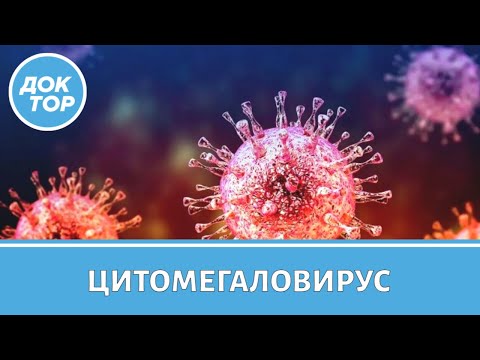 Видео: Цитомегаловирус: что важно знать | Как снизить риск заражения
