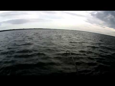 Видео: СОМ в РУКУ Proanglers Питерцов
