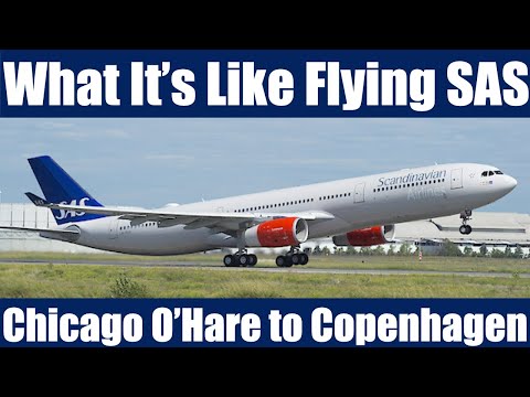 Видео: Я летел эконом-классом авиакомпании SAS в Копенгаген. Вот что произошло