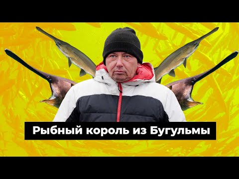 Видео: Разбогатеть на «буратино». Как бывший водитель «Лукойла» завез в Татарстан веслоносов