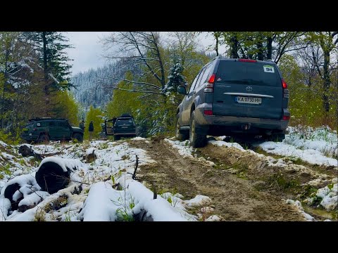 Видео: Карпати 1300 м! Перший день офроуд-тріпу: Prado 120, Jimny, Wrangler, Patrol на 35, трек Adventure