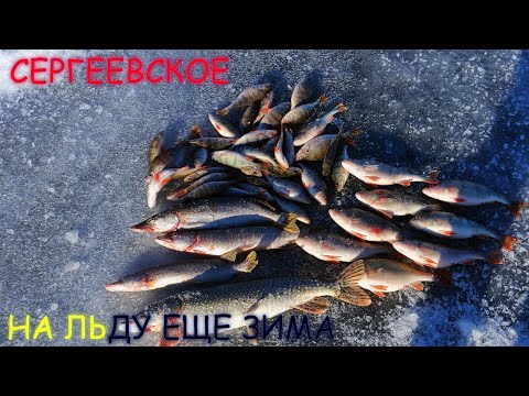 Видео: ВЕСЕННИЙ ОКУНЬ И ЩУКА - РЫБАЛКА ВЕСНОЙ