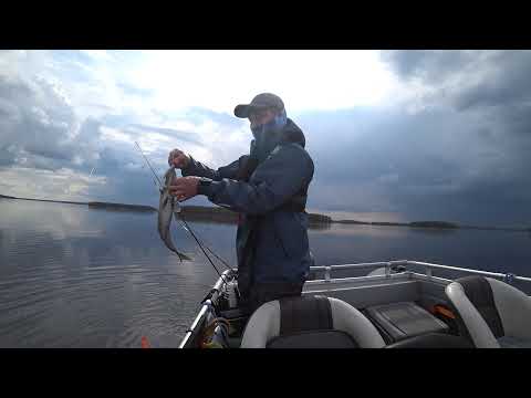 Видео: Открытие сезона 2021. Новая лодка Buster X. Поиск рыбы с Panoptix Livescope. Рыбалка в Финляндии.